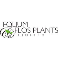 Folium and Flos Plants Limited