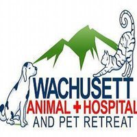Wachusett Animal Hospital and Pet Retreat