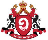 9Guard Security