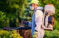 Fort Bend Pest Control Experts