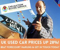 Car Auction Buying Service