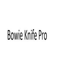 Bowie Knife Pro