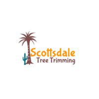 Scottsdale Tree Trimming, Tree Trimmers