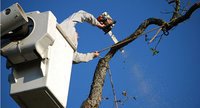 Great Water Tree Service