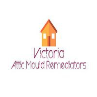 Victoria Attic Mould Remediators