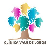 Clinica Vale de Lobos 