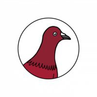 Red Pigeon Media