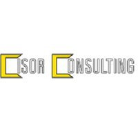 Cisor Consulting LLC