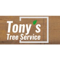 Tony's Affordable Tree Service