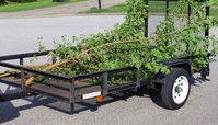 Little Chicago Tree Removal Co