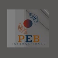 peb technical services