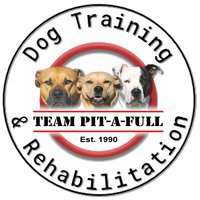 Team Pit-a-Full Dog Training & Rehabilitation