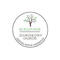 Bukszpanik - Zjawiskowy Ogród