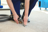 Supreme Carpet Cleaning