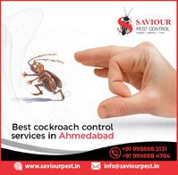 Pest control service in ahmedabad