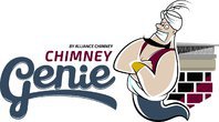  Chimney Genie Liners & Chimney Repair