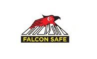 Falcon Safe (Singapore) Pte Ltd