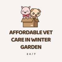 Affordable Vet Care Winter Garden