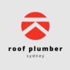 Roof Plumber Sydney