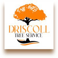 Driscoll Tree Service