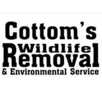 Cottom's Wildlife Removal - Bat, Raccoon, & Rodent Specialists