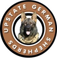 Upstate German Shepherd