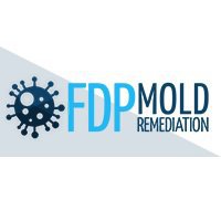 FDP Mold Remediation of New Rochelle