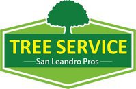 Tree Service San Leandro Pros