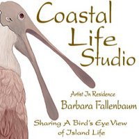 Coastal Life Studio - Barbara Fallenbaum Artist
