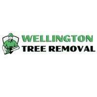 Wellington Tree Removal