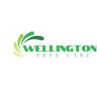 Wellington Tree Care