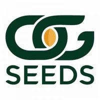 OG Seeds