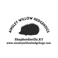 Ainsley Willow Hedgehogs  