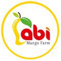 Buy Indian Mangoes Online | Alphonso Mangoes Online