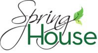 Spring House Lithia Springs
