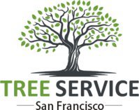 Tree Service San Francisco