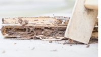 Tuttle Termite Removal
