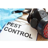 River City Termite Removal Experts
