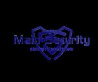Main Security Ltd