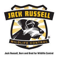 Jack Russell Wildlife Control