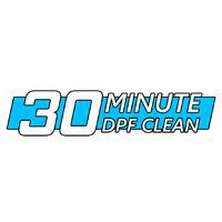 30 Minute DPF Clean