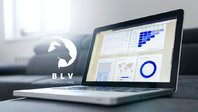 BLV Consulting Group