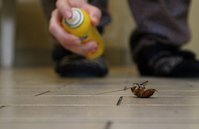 Garden City Termite Experts