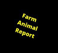 Farm Animal Report