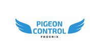 Pigeon Control Phoenix