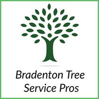 Bradenton Tree Service Pros
