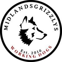 MidlandsGrizzlys
