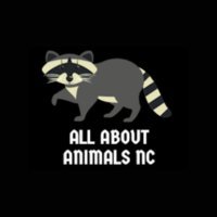 All About Animals NC - Squirrel Removal & Wildlife Removal