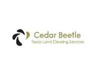 Texas Land Clearing Services ~ Cedar Beetle