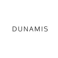 Dunamis Web Services Ltd